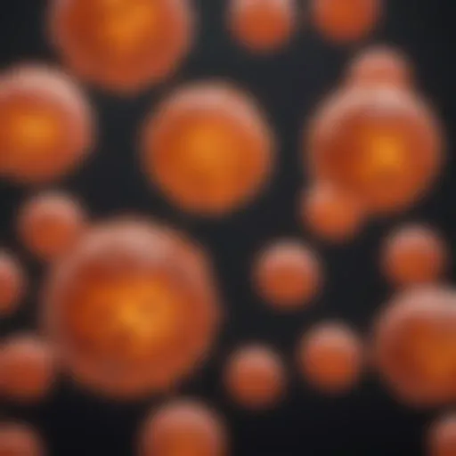 Cellular representation of leukemia cells