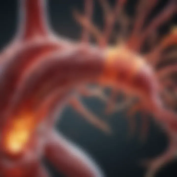 Inflammation reduction mechanisms