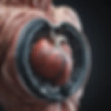 Integration with Clinical Systems Illustration of the integration of cardiac MRI software with clinical systems