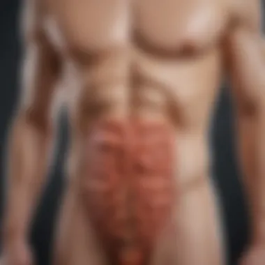 A detailed infographic illustrating the symptoms of Irritable Bowel Syndrome.