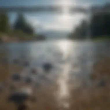 Future Projections of Water Levels in the Context of Climate Change Future projections of water levels