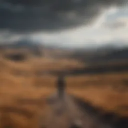 A solitary figure in a vast landscape symbolizing isolation