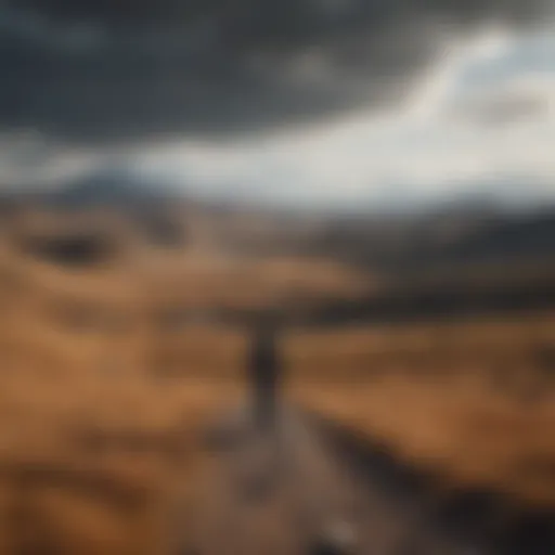A solitary figure in a vast landscape symbolizing isolation