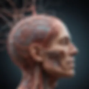Neurological Pathways and Jean Barre Syndrome Neurological pathways affected by Jean Barre Syndrome