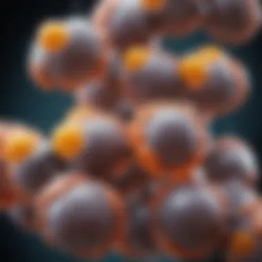 Molecular structure of Metformin