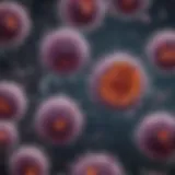 Microscopic view of pancreatic cancer cells