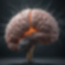 A close-up of a brain with neurons firing