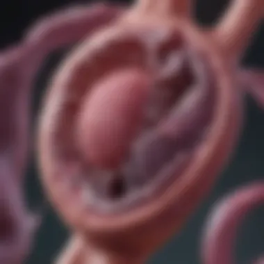 Advancements in Treatment Approaches for Pancreatic Carcinoma Innovative Treatment Modalities for Metastatic Carcinoma