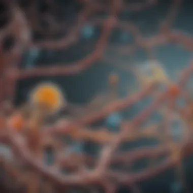 Illustration showing the metabolic pathways of methane-eating microbes