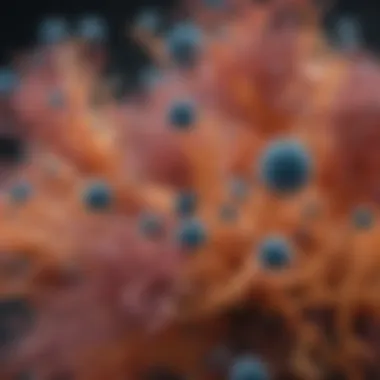Microscopic Diversity of Methane-Eating Microbes Microscopic view of methane-eating microbes in their natural habitat