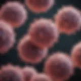 Micrometastasis showcasing clusters of cancer cells