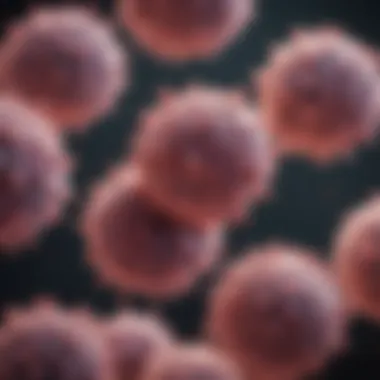 Clusters of Cancer Cells in Micrometastasis Micrometastasis showcasing clusters of cancer cells