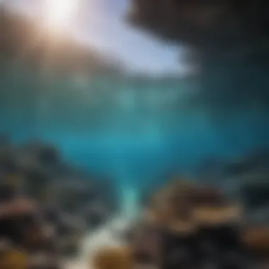 Community project restoring reef health