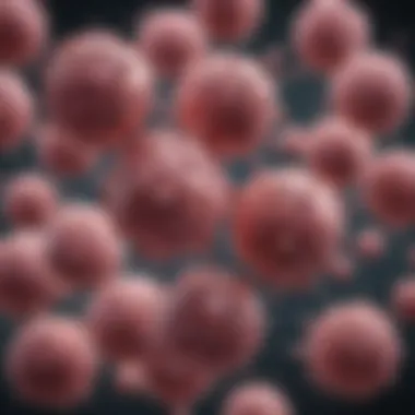 Applications of Monoclonal Antibodies Across Cancer Types Diverse cancer types treated with monoclonal antibodies