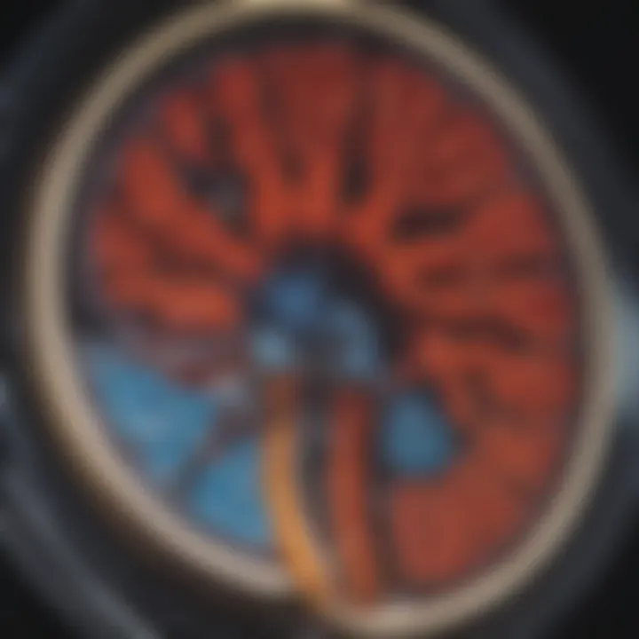 Detailed MRI image highlighting kidney disorders