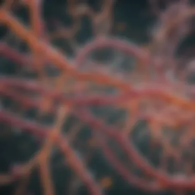Role of mRNA in Cellular Activity Illustration showing the significance of mRNA in cellular functions