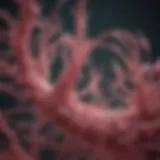 Illustration of nocodazole's effect on microtubule dynamics