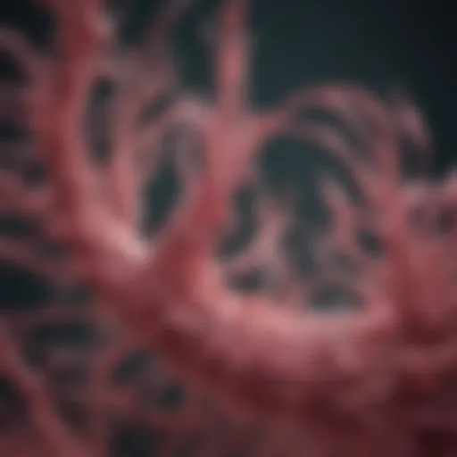 Illustration of nocodazole's effect on microtubule dynamics