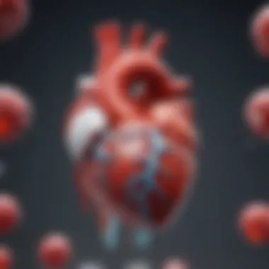 Integration of heart failure mechanisms