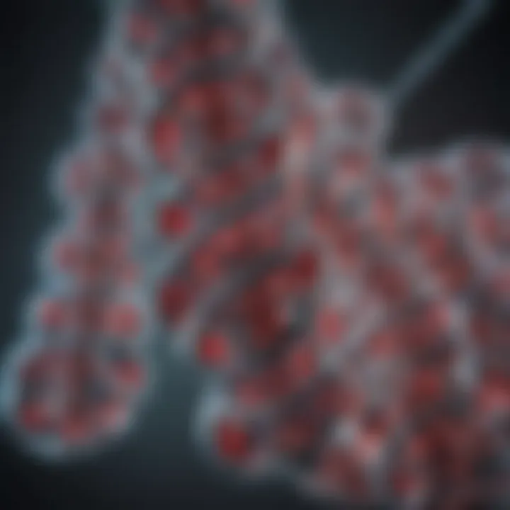Paxgene DNA tube showcasing its design