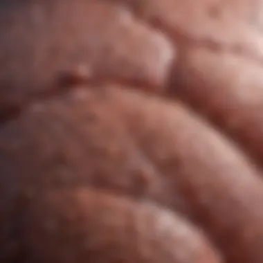 Notable PD-L1 Expression in Prostate Cancer: A Comprehensive Exploration Notable PD-L1 Expression in Prostate Cancer: A Comprehensive Exploration