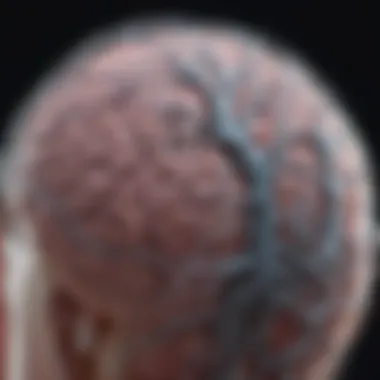 Recent Advancements in Neuromodulation Technology Recent advancements in neuromodulation technology