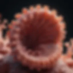 A detailed view of polyps in the colon