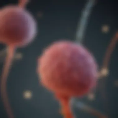 Genetic Markers Impacting GBM Prognosis Genetic markers for Glioblastoma Multiforme prognosis