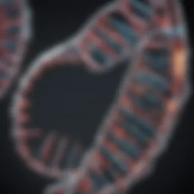 Illustration of recombinant DNA technology