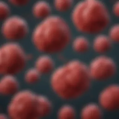 Risk Factors for Blood Clots and Cancer Chart depicting risk factors associated with blood clots and cancer
