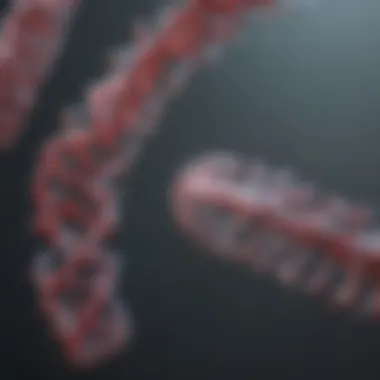 RNA Polymerase in Action Visualization of RNA polymerase activity during transcription
