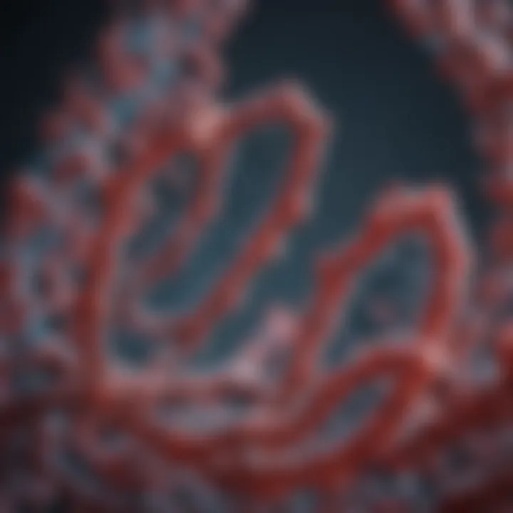 Graphical representation of RNA structure highlighting uracil