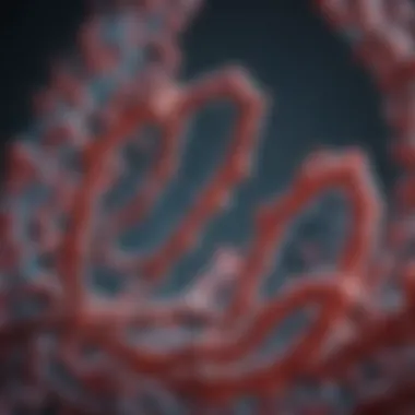 Role of Uracil in RNA Structure Graphical representation of RNA structure highlighting uracil