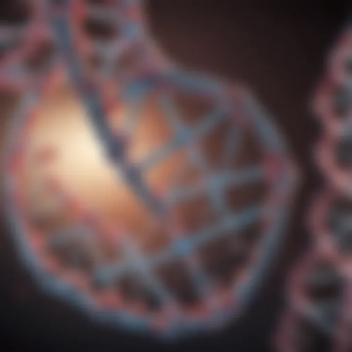Diagram illustrating the molecular structure of DNA