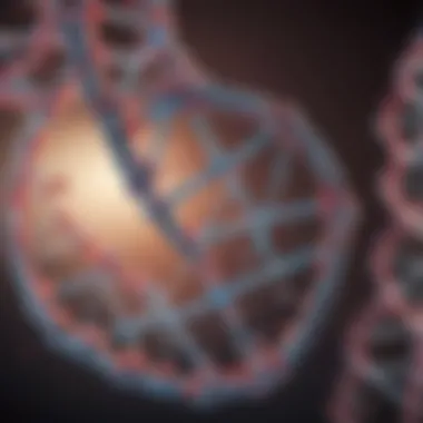 Molecular Structure of DNA Diagram illustrating the molecular structure of DNA