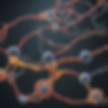 Illustration of Serotonin Pathways Diagram illustrating serotonin pathways