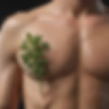 A close-up of natural herbs known for their aphrodisiac properties.