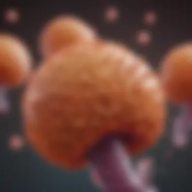 Importance of Early Detection in Bladder Cancer Illustration of early detection methods for bladder cancer