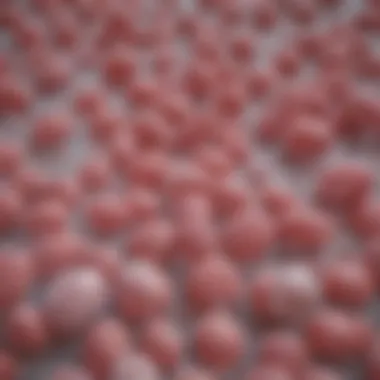 Synergistic Interaction Between Clavulanic Acid and Amoxicillin Synergistic interaction between clavulanic acid and amoxicillin