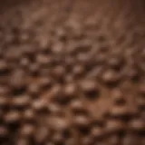 Close-up of freshly ground coffee beans