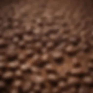 Close-up of freshly ground coffee beans