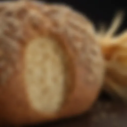 An artistic representation of gluten structure at the molecular level.