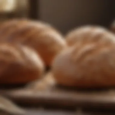 Nutritional Comparison: Gluten-Free vs Traditional Bread Visual guide comparing nutritional content of gluten-free and traditional bread.