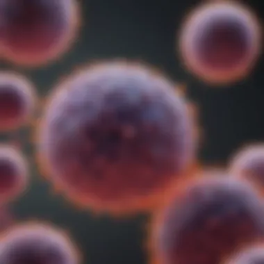 Illustration of pancreatic beta cells and their role in insulin production