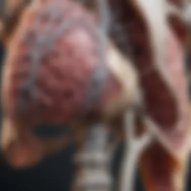 Metastatic Lung Cancer in Bones Illustration of bone structure affected by metastatic lung cancer