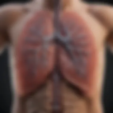 Diagram explaining the biological changes in lungs after smoking cessation