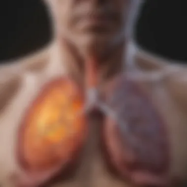 COPD Progression in Lungs Lungs illustrating the effects of COPD
