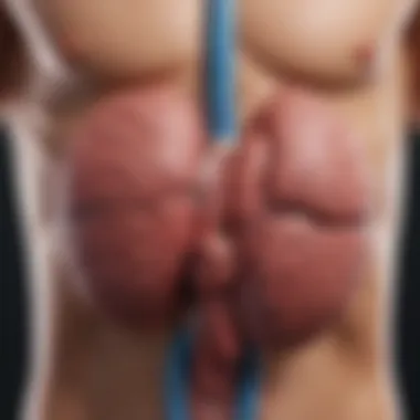 Diagnostic Approaches for Liver Cancer in Cirrhosis Clinical guidelines for the diagnosis of liver cancer in patients with cirrhosis