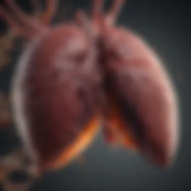 The Impact of Stress on Liver Function Stress impact on liver function