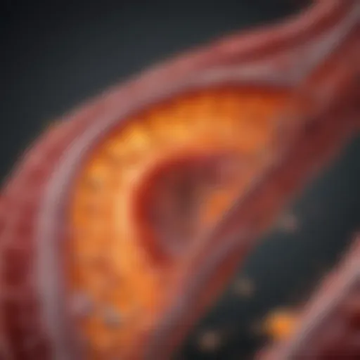 Visualization of arterial plaque formation and its connection to vitamin D levels.